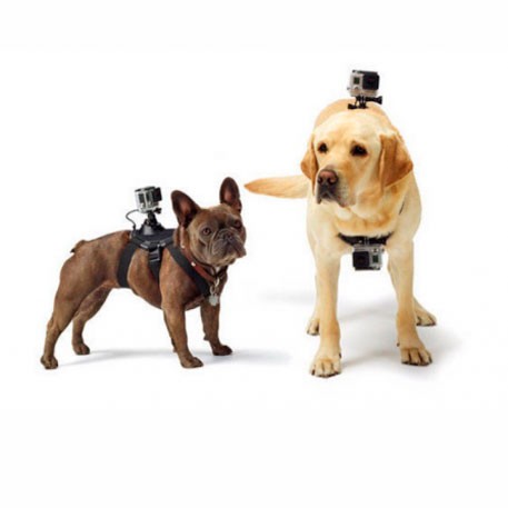 Yi Action Camera Mount for Pets